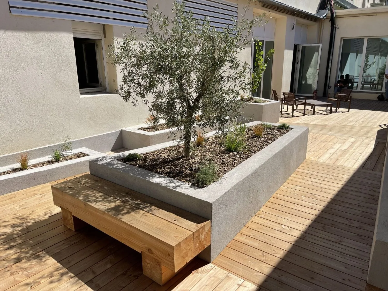 Un patio rénové : olivier planté dans une jardinière de béton, banc et terrasse en bois.